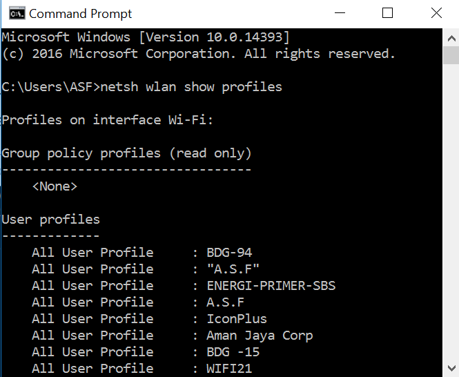 wifi password recovery command from profiles netsh wlan show profiles command output on Windows 10