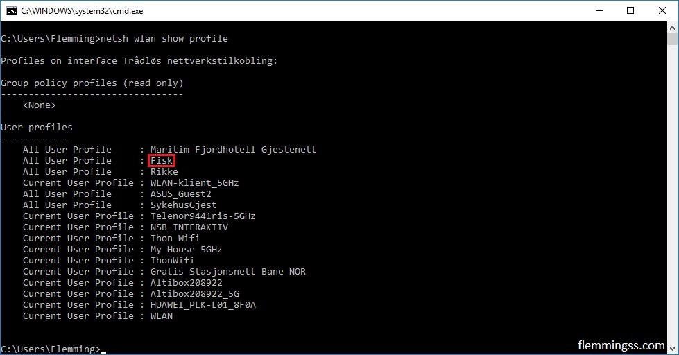 wifi password recovery powershell windows server netsh wlan show profiles command output PowerShell