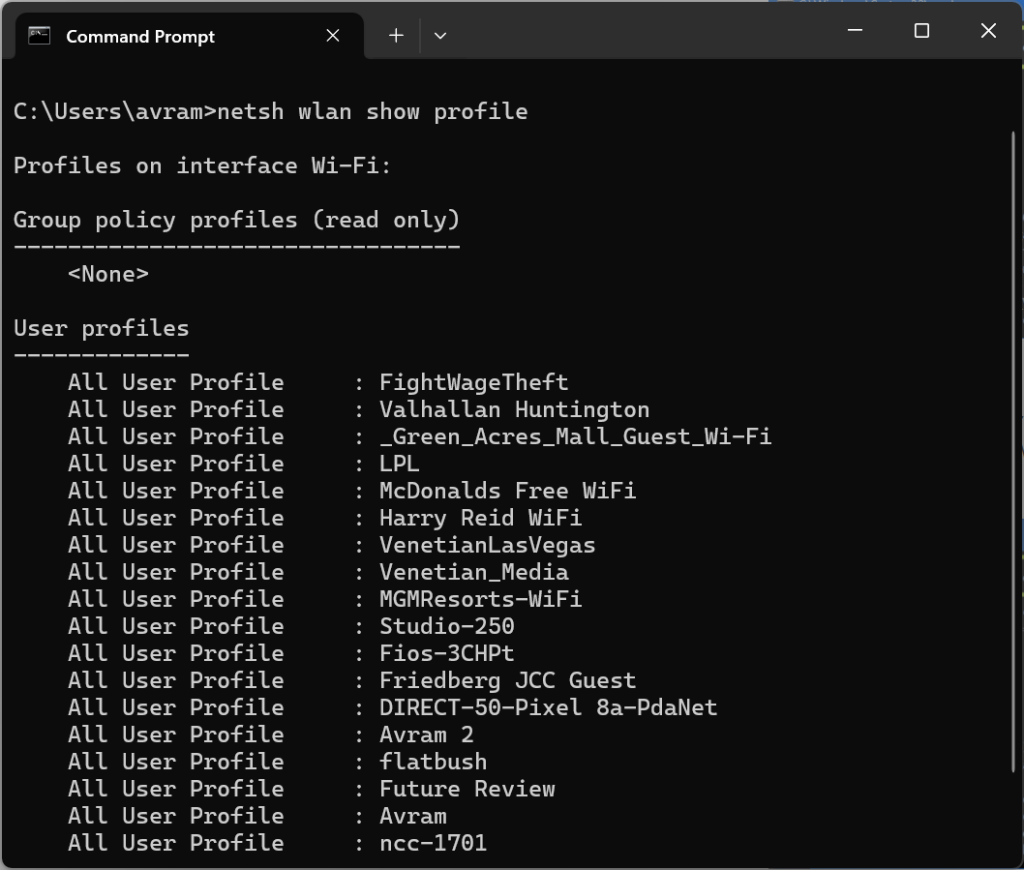 wifi password recovery with netsh netsh wlan show profiles command output listing wifi profiles
