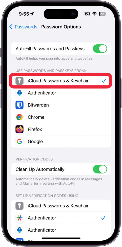 wifi password recovery after ios update iPhone Settings iCloud Passwords Keychain toggle
