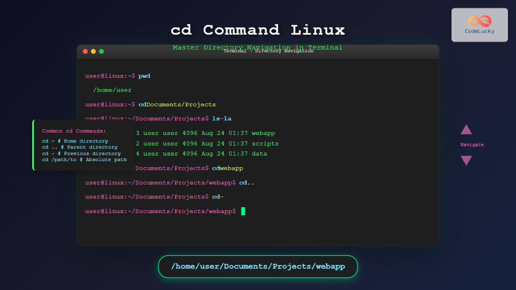wifi password recovery expert guide Linux terminal showing sudo cat command with WiFi password in output