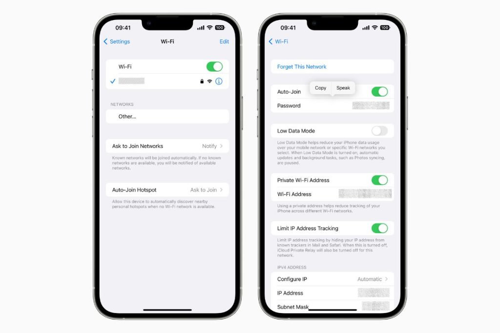 wireless password recovery iphone iPhone WiFi settings screen showing password reveal option iOS 16